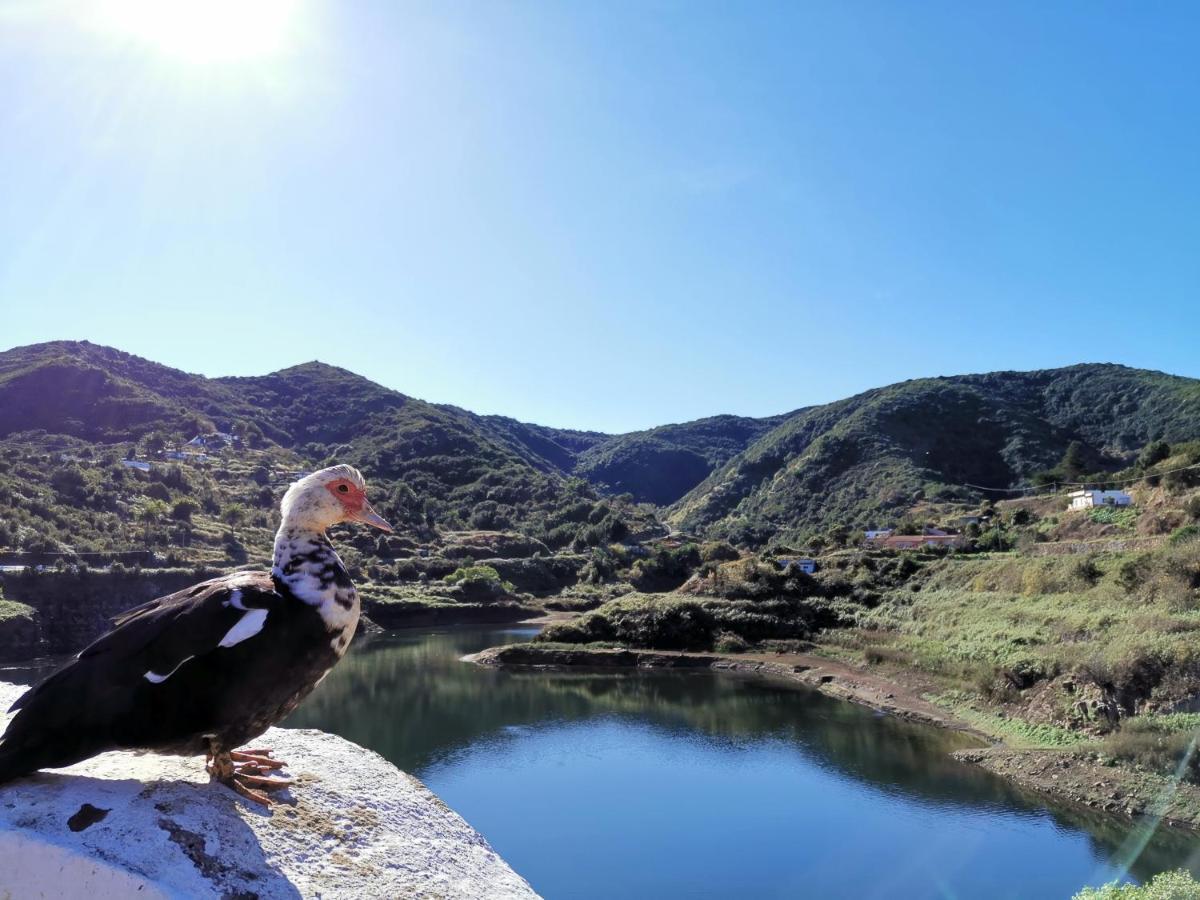 Casa Rural Leo: Remanso De Paz Y Tranquilidad Агуло Экстерьер фото